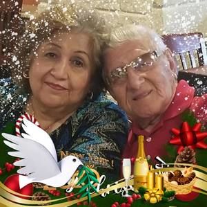 Meet your Posher, Elva